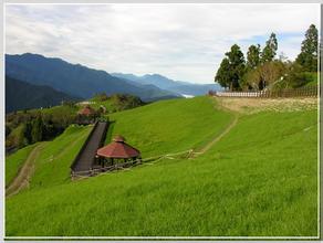 青青草原网站色币_青青草原wifi热点_去青青草原抓羊什么梗