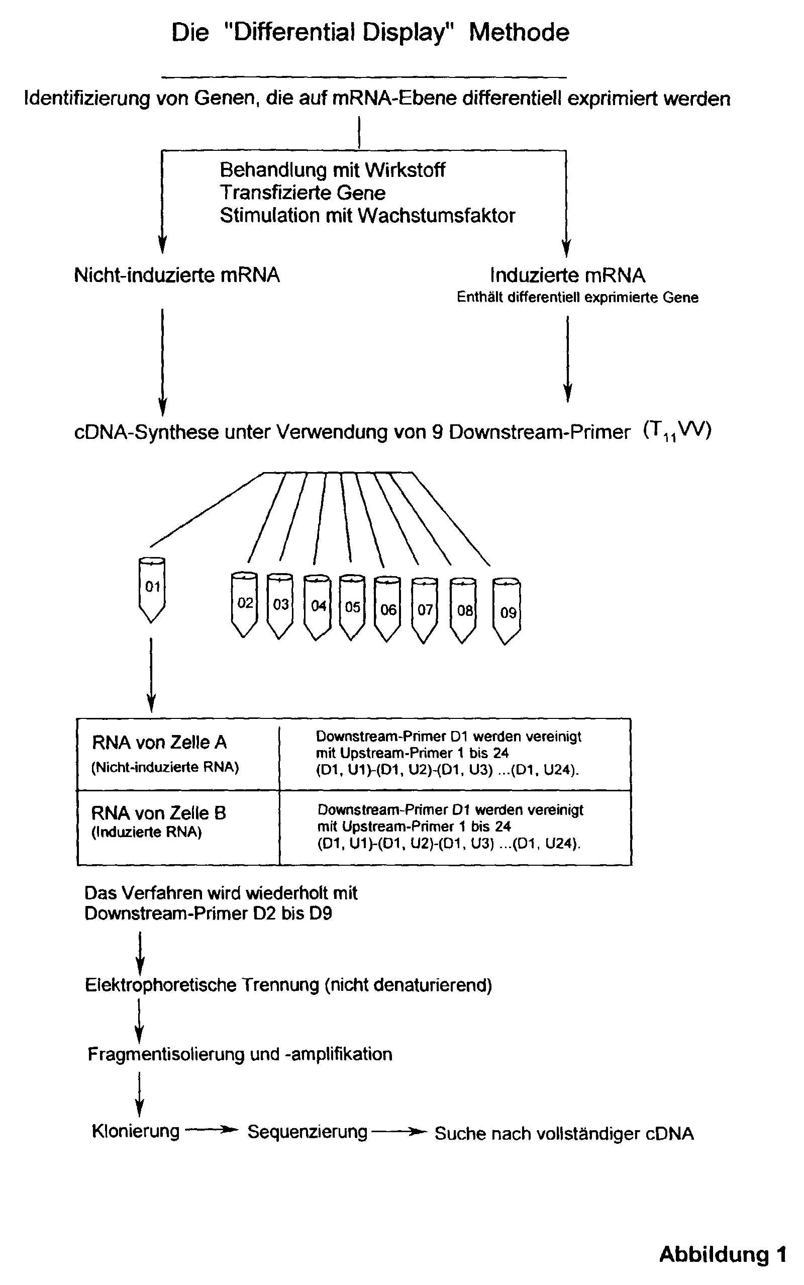 cdna文库_cdna_cdna是什么