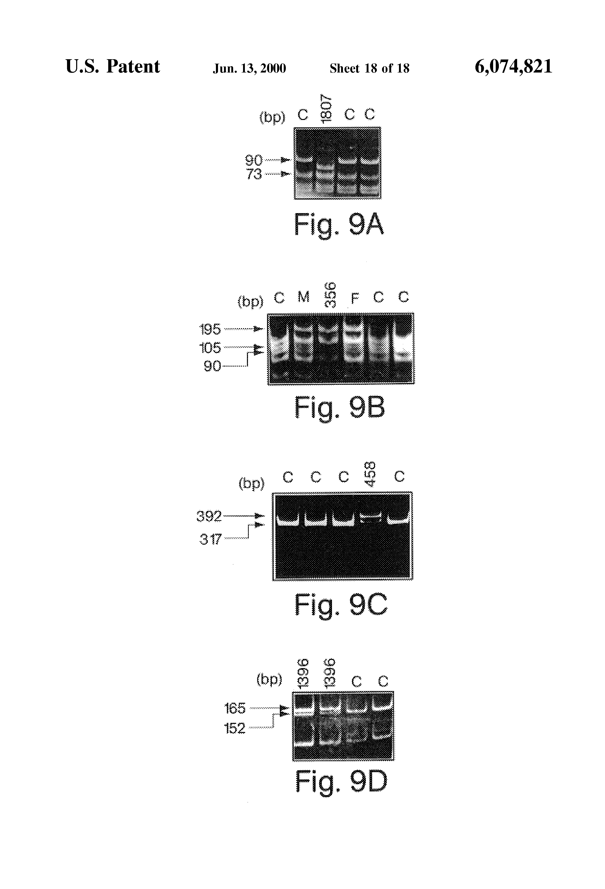 cdna_cdna文库的构建方法_cdna有没有内含子