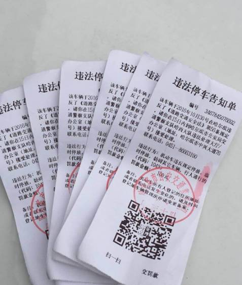 哈尔滨违章查询_哈尔滨查询系统_哈尔滨违章记录查询