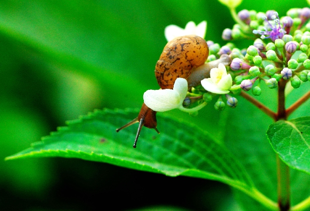 省清江合成纤维厂-凤凰网知青频道|知青贴吧|知
