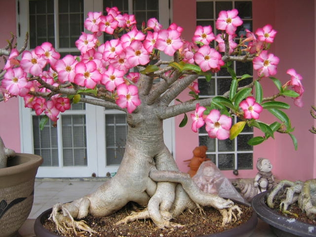 省清江合成纤维厂-凤凰网知青频道|知青贴吧|知