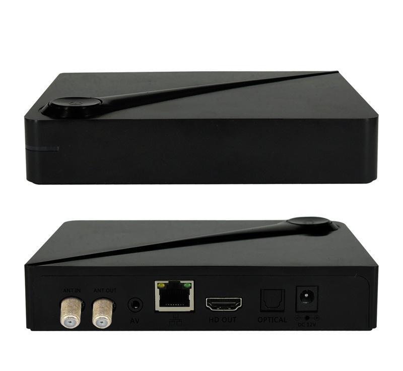 forkhead box家族_forkhead box p3_harmon p3