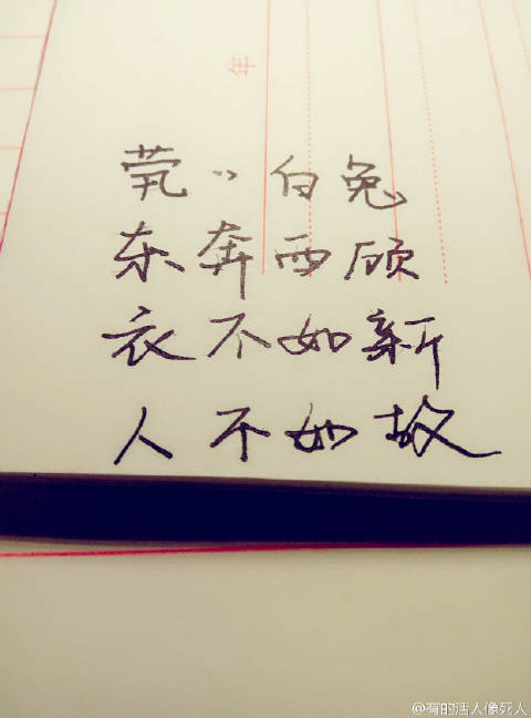 人不如故 剧透_人不如故是什么意思_人不如故