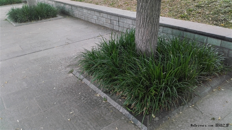 手感如锦缎 799元荣耀畅玩4C评测