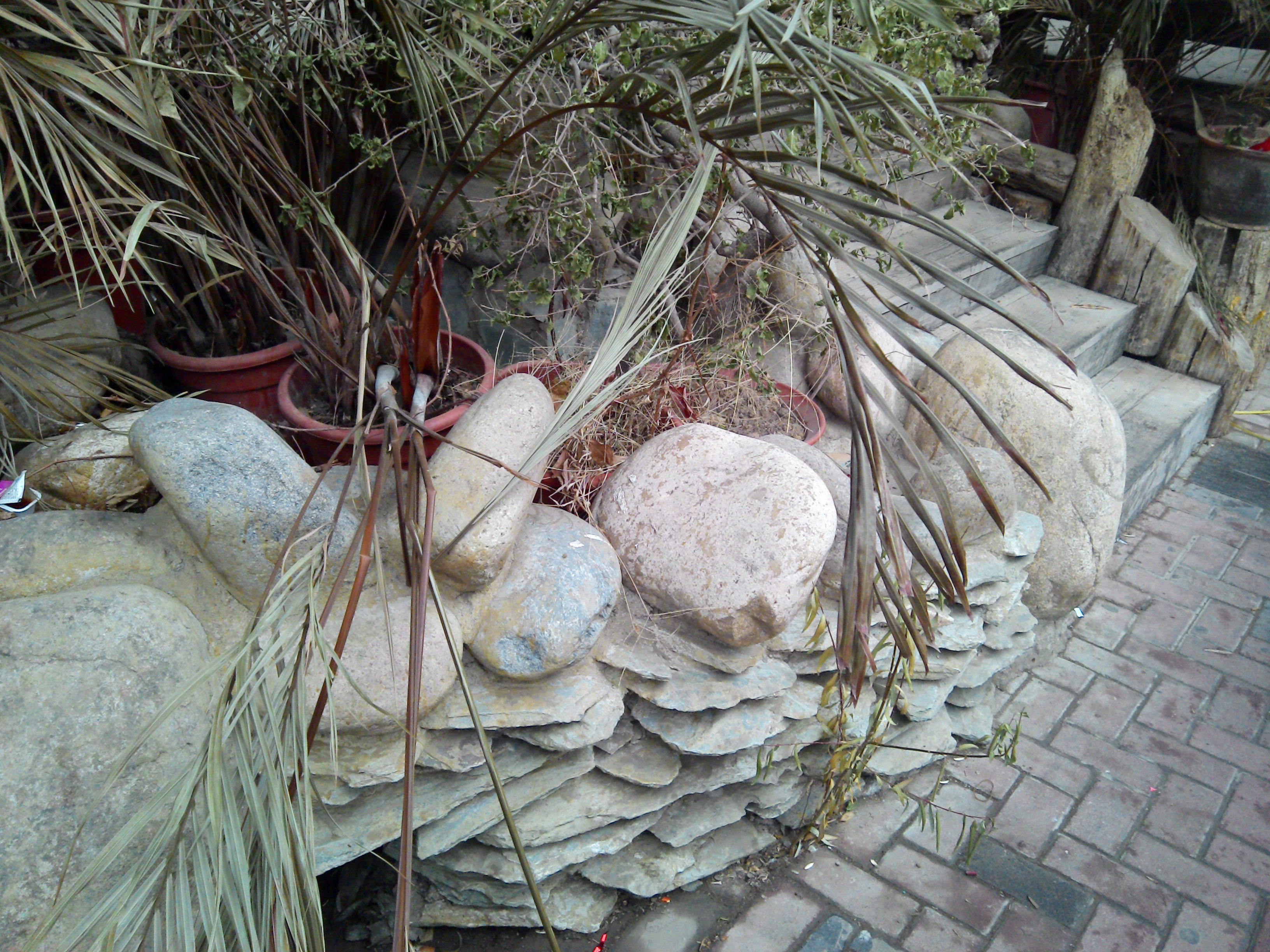 800万像素最快连拍新机 MT788拍照体验 