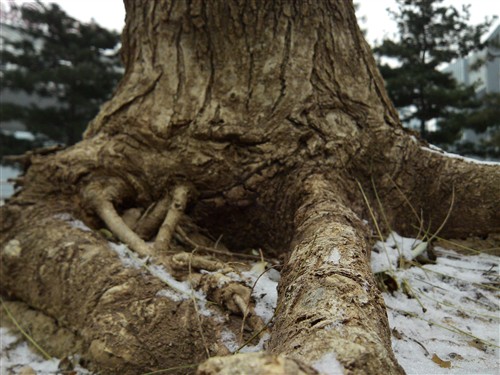 2GHz主频英特尔处理器 MOTO MT788评测