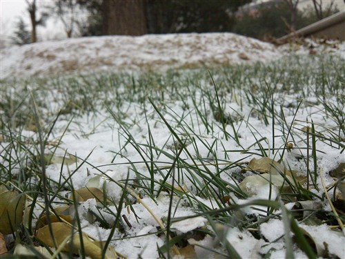 2GHz主频英特尔处理器 MOTO MT788评测