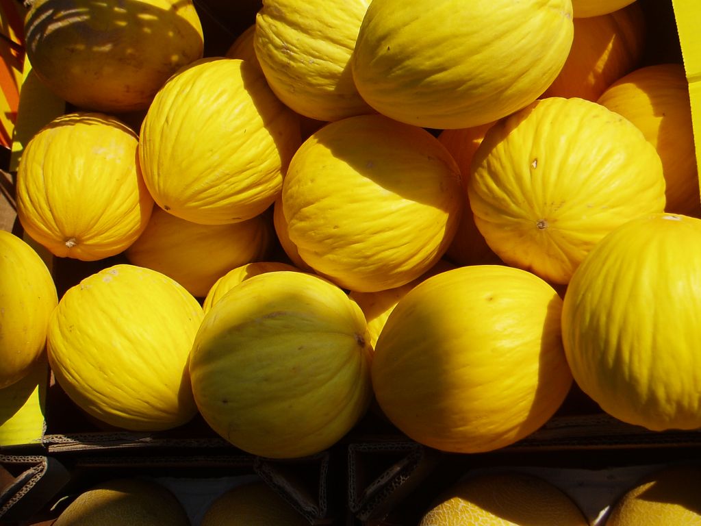 英语mango的复数形式_mangos_mangos怎么读