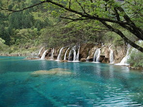 飘荡楚波中_飘荡漂荡_雪中飘荡的回忆作文