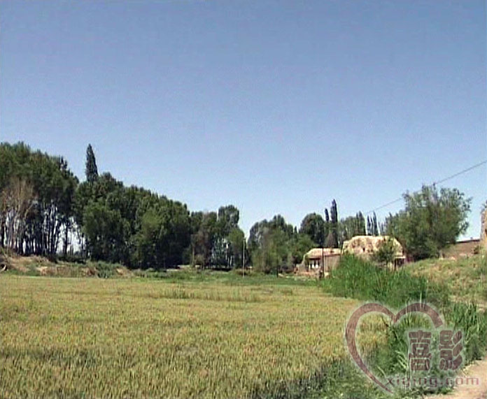 中国集邮_中国邮政网络培训学院_中国邮政网络培训学院课件播放器