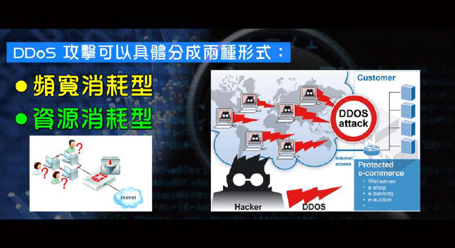 webbot预测_webbot预测2017_webbot 白银