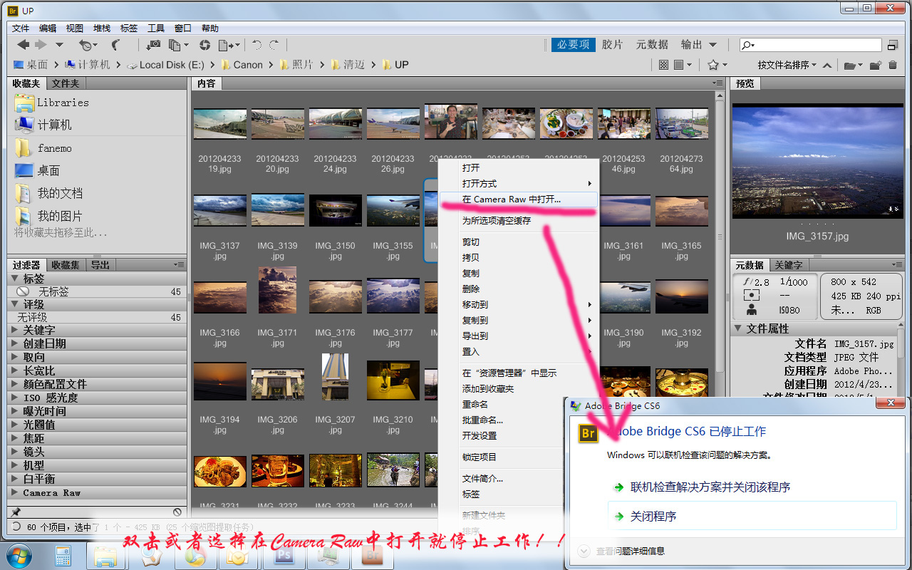 adobe bridge cs3_为什么ps用不了_windows10加载标志