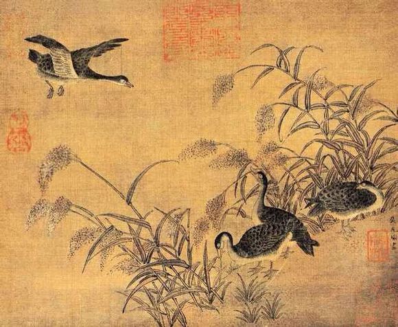 vagaa手机版官方网站_嘎画时代_哇嘎画时代官网