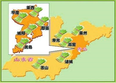 农药920的作用_农药920的危害_920是什么农药