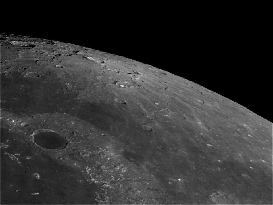 小黑3x_小黑的宝藏2挪小人的_有本小说宠物叫小黑