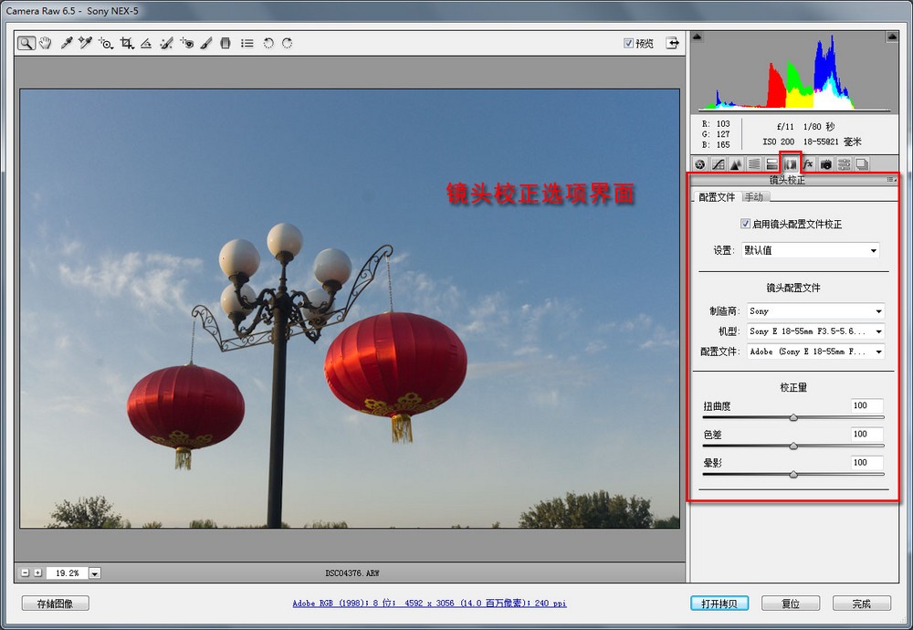 adoce camera raw_raw无损转换_camera raw 8bi