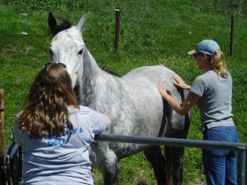 用knowledge名词造句_用名词attention造句_pay attention to