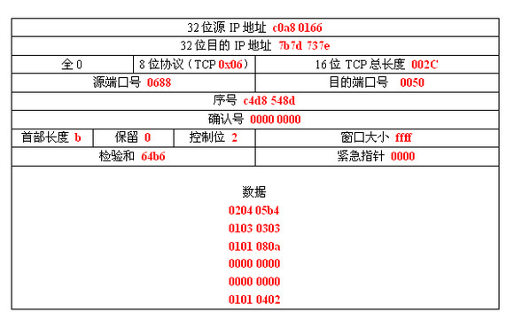 tcp udp socket_tcpudp 本机_tcp与udp