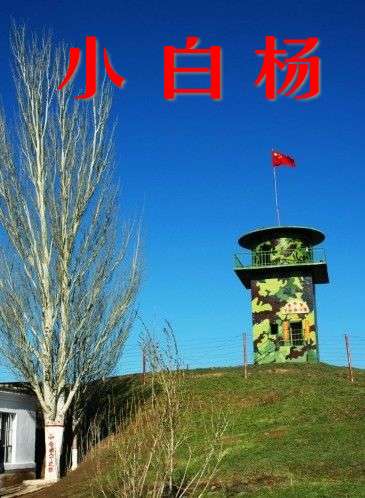 我行我素歌词_哈狗帮我行我素_我行我素mchotdog歌词