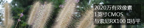 画质高感均好还便携 索尼QX100深度评测