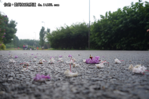 索尼QX100实拍样张