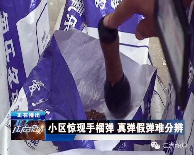 郑州一小区现 也难辨真假