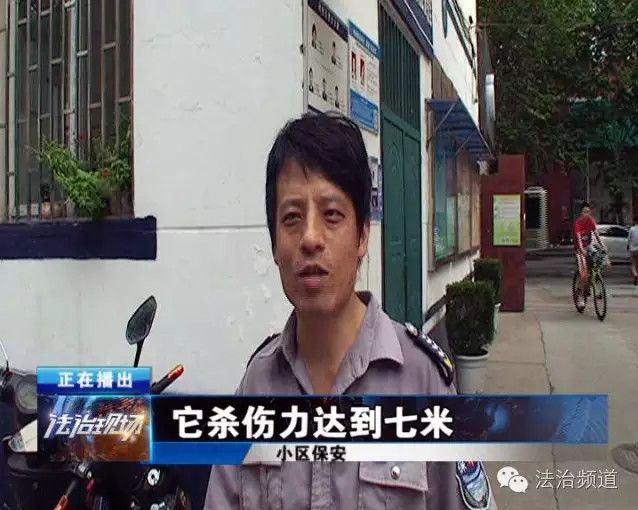 郑州一小区现 也难辨真假