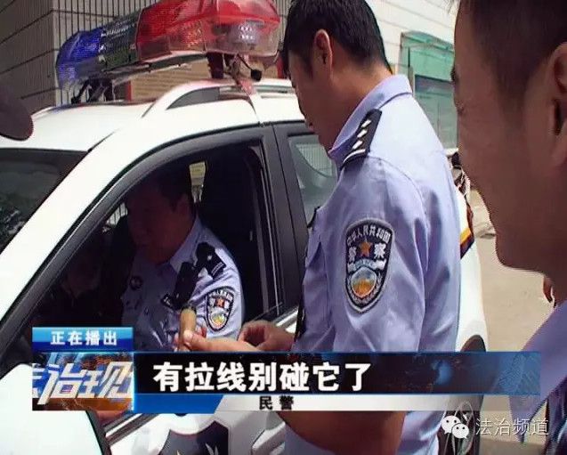 郑州一小区现 也难辨真假