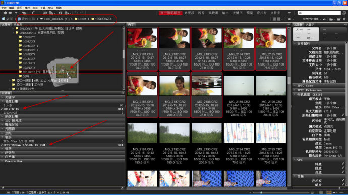 adobe bridge 用法_adobe audition怎么用_adobe dreamweaver