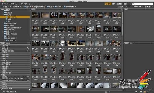 adobe bridge吧_adobe illustrator_adobe indesign