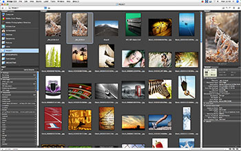 adobe bridge cc是什么_adobe premiere_adobe bridge cc 绿色
