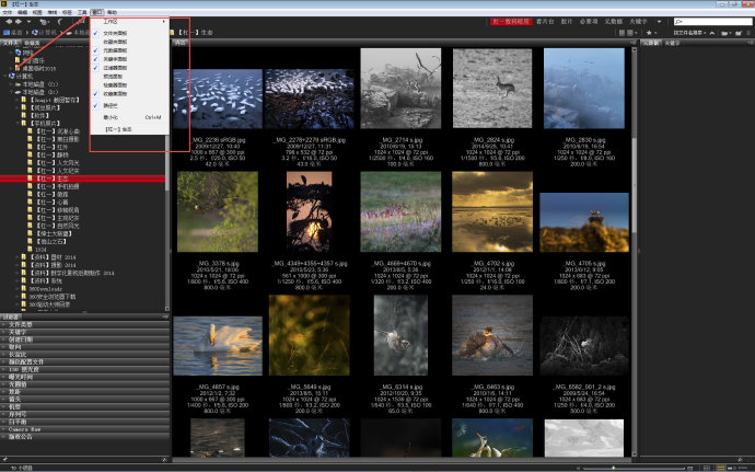 adobe bridge cs6 64_adobe bridge cs6安装_adobe bridge可以删吗
