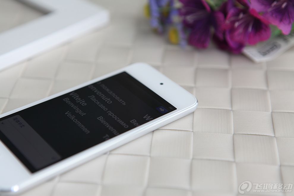 第五代ipod touch_第五代ipad_ipod video