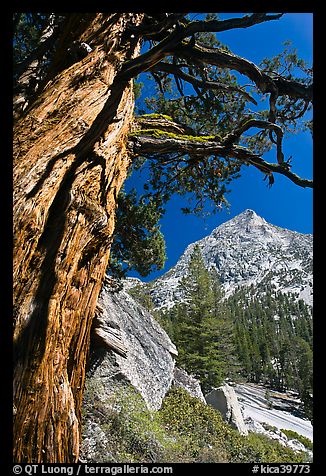 优胜美地国家公园_大峡谷国家公园_莫罗科伊国家公园