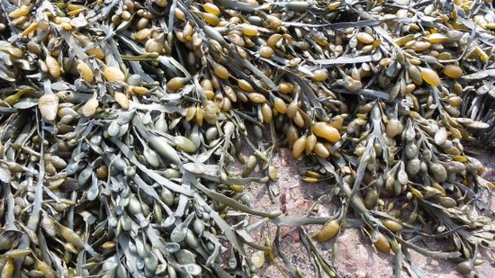 三星Galaxy Camera 2评测 21倍光变硬件升级