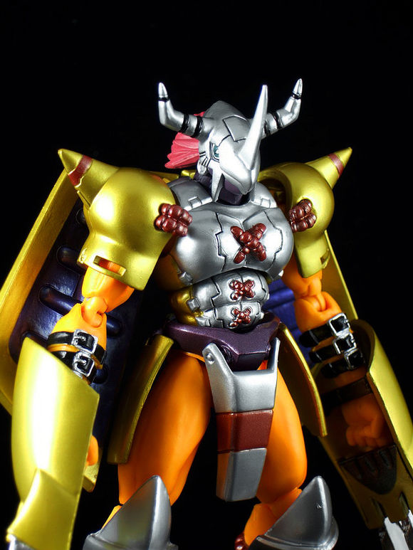 数码宝贝1战斗暴龙兽战斗_战斗暴龙兽神圣进化_战斗暴龙兽登场