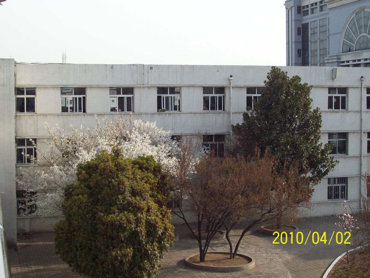 调频酸菜馆菜鸟捉鬼师_调频酸菜馆_情圣是怎样练成的 有声