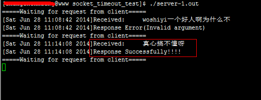 windows setsockopt_setsockopt socket_error_socket_error