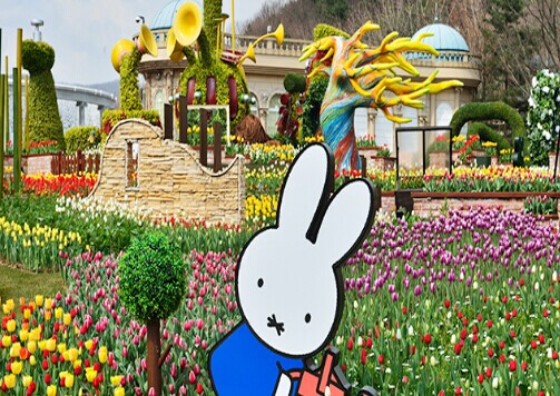 韩国爱宝乐园_三星爱宝乐园地址_韩国三星爱宝乐园官网