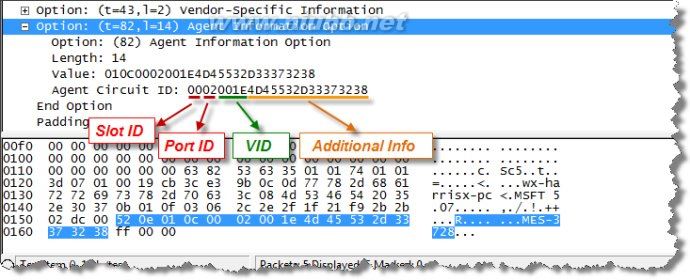 dhcprelay_dhcprelay android_dhcp relay w815