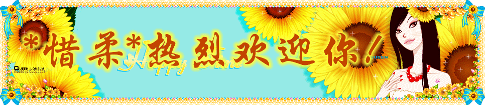 饥荒控制台代码大全_qq秀论坛_qq秀代码大全