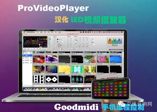 diceplayer中文付费版_diceplayer播放器_diceplayer最新版