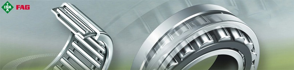 schaeffler canada_schaeffler group_schaeffler diagram