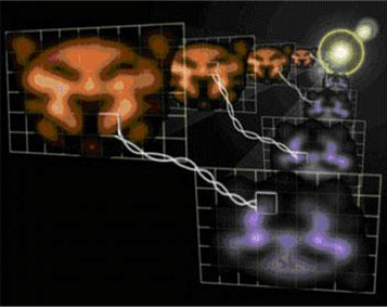量子态隐形传输就是指利用"量子纠缠"技术,借助卫星_中国量子态隐形传输_什么是量子纠缠