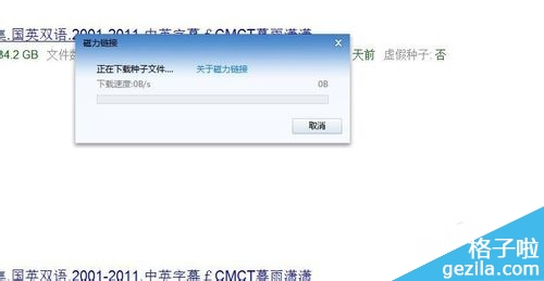 btdigg磁力链接资源如何下载
