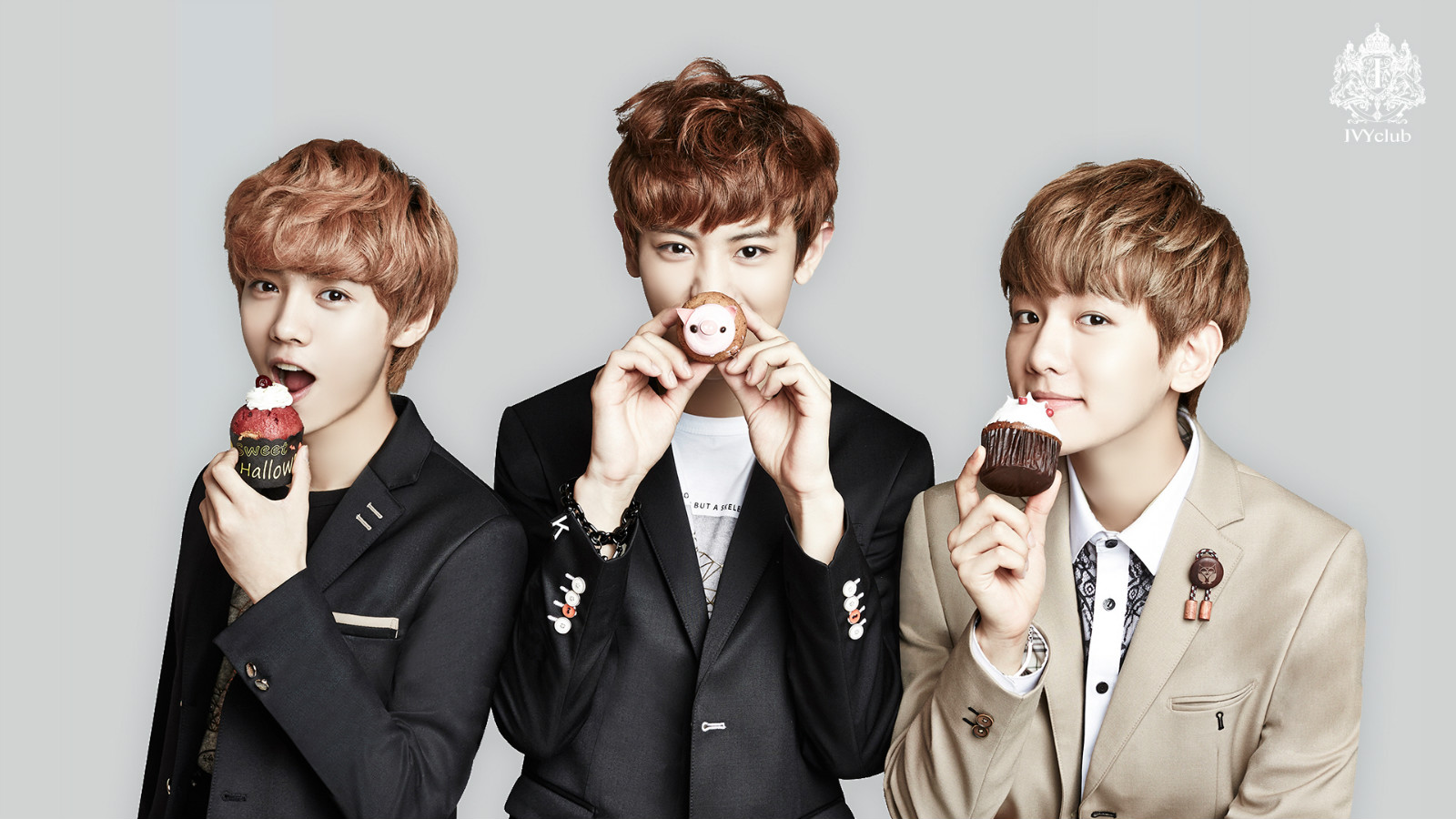 exo电脑桌面壁纸_exo手机主题_exo12人写真图片