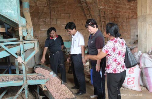 中兴天机7_冯健雄 中兴_中兴官网