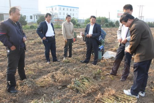 中兴吧_中兴汽车_冯健雄 中兴