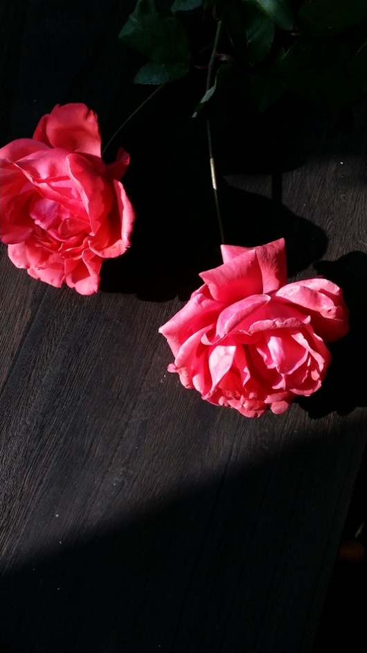 腾讯视频_yukou_乐视视频